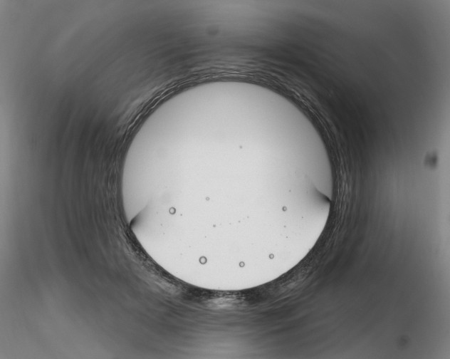 X0000116160505201001041117