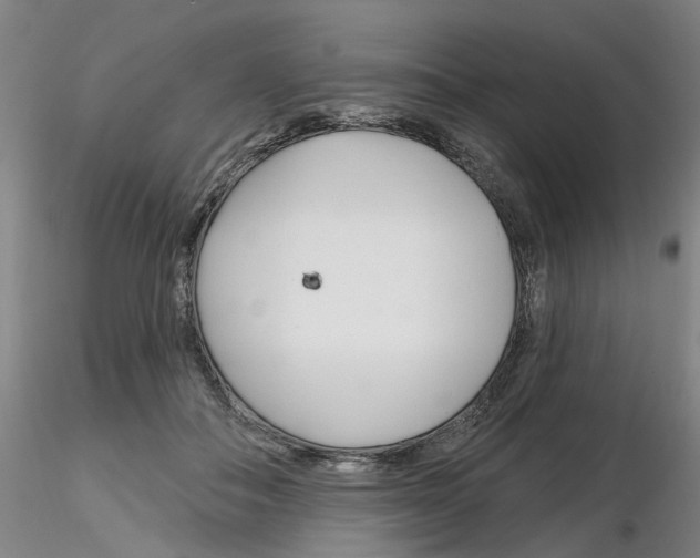 X0000116160506201001041117