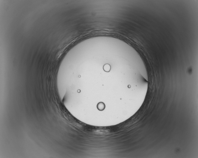 X0000116160508201001041117