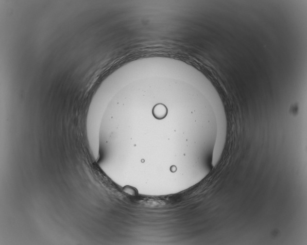 X0000116160512201001041117