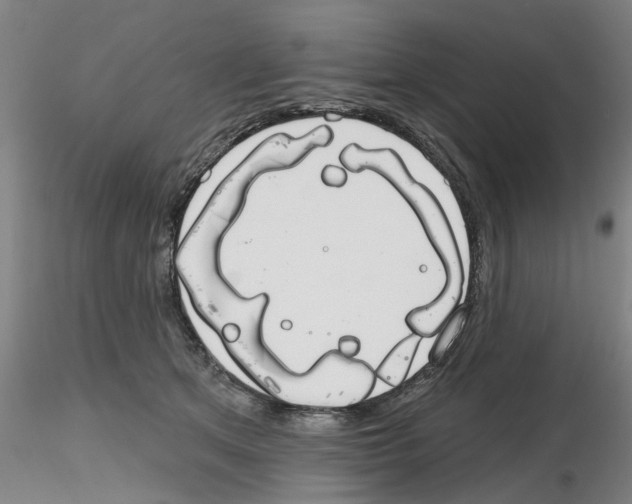 X0000116160513201001041117