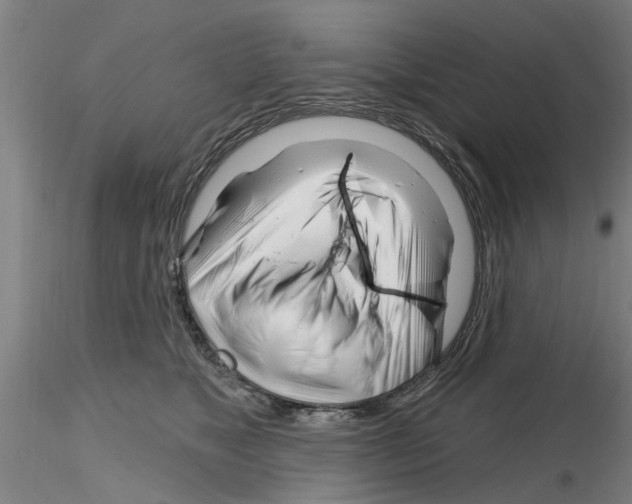 X0000116160517201001041117