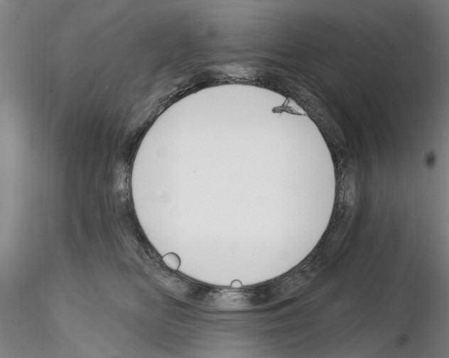 X0000116160518201001041117