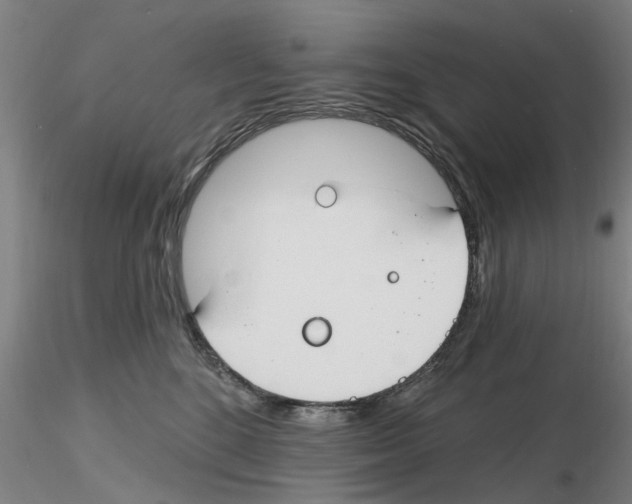X0000116160520201001041117