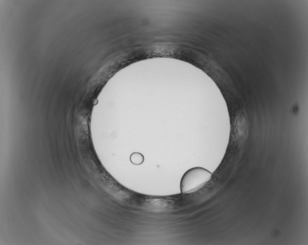 X0000116160522201001041117