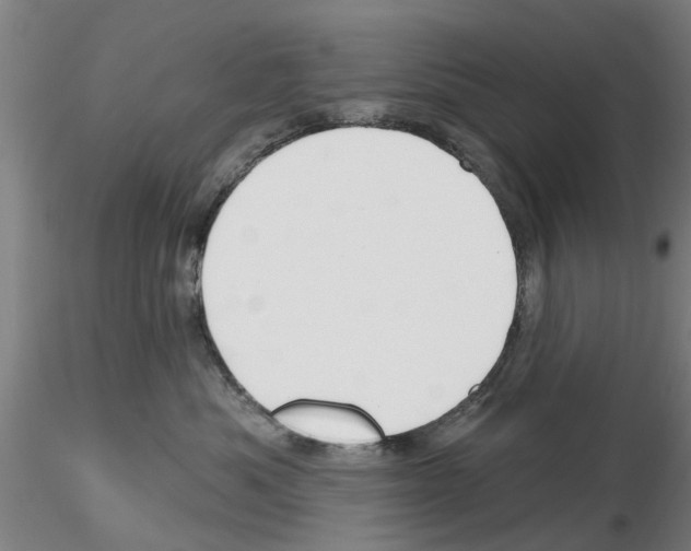 X0000116160525201001041117