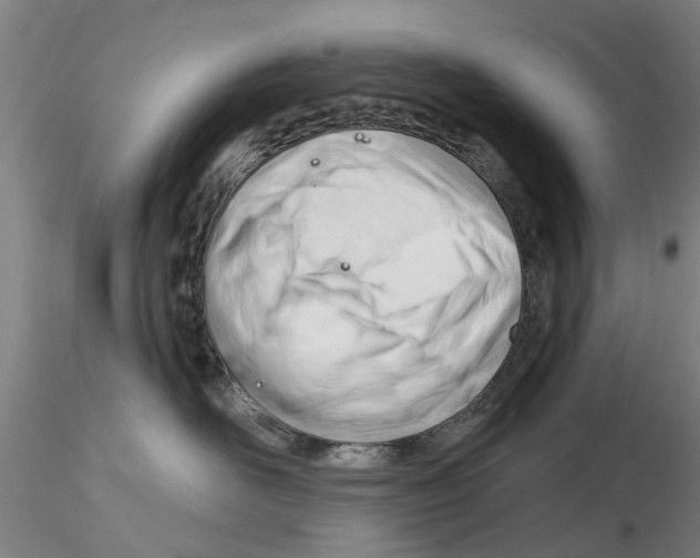 X0000116160526201001041117