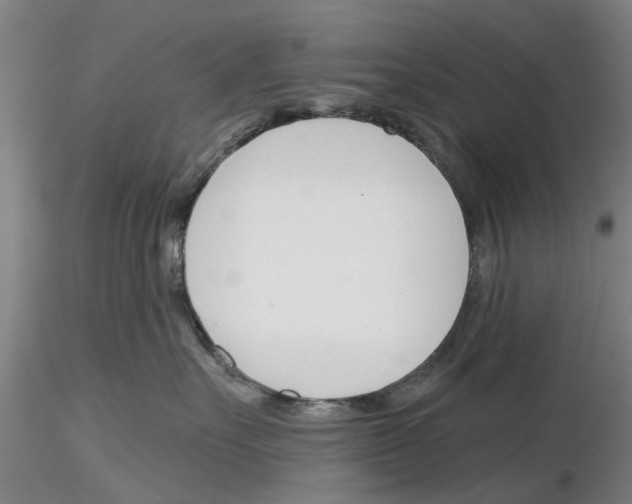X0000116160527201001041117