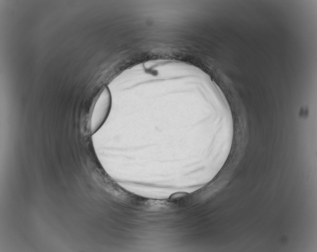 X0000116160528201001041117