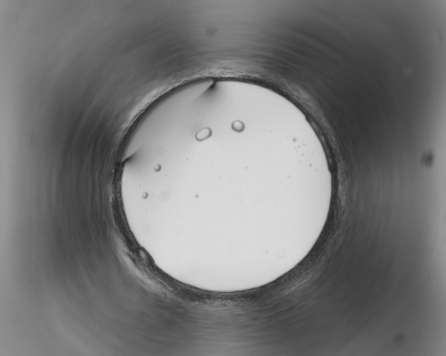 X0000116160530201001041116