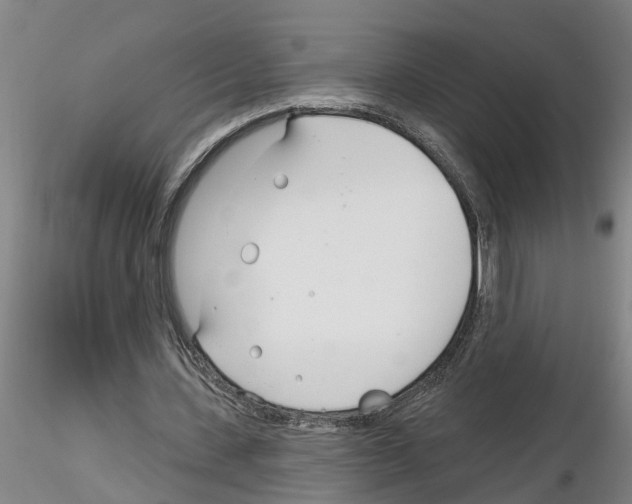X0000116160531201001041116