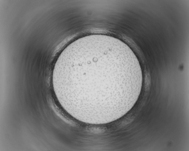 X0000116160533201001041116
