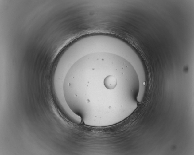 X0000116160534201001041116