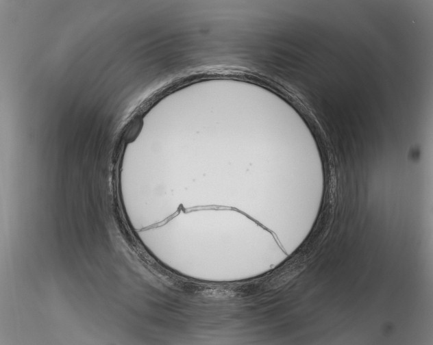 X0000116160535201001041116