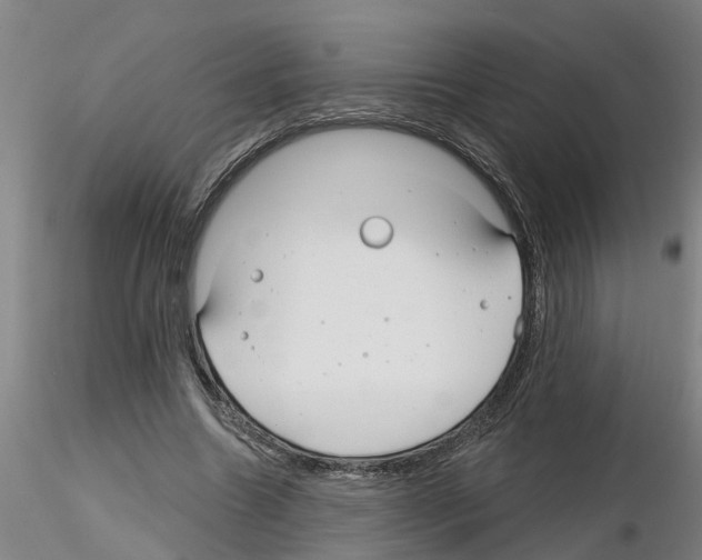 X0000116160538201001041116