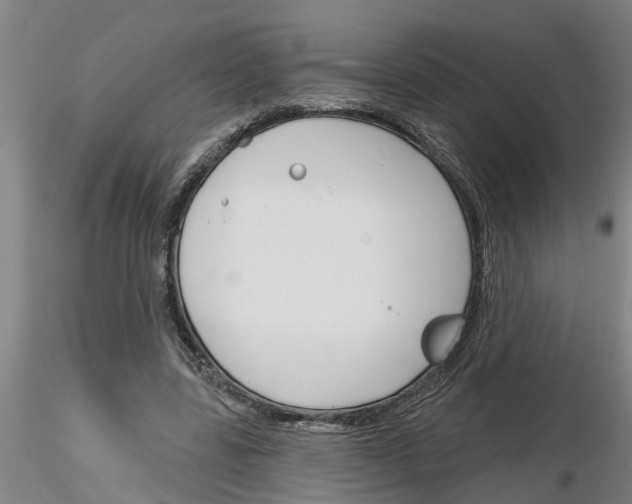 X0000116160539201001041116