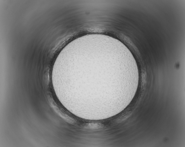 X0000116160541201001041116
