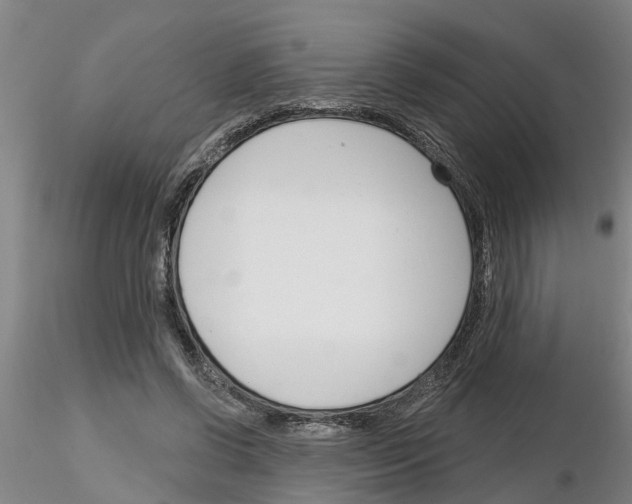 X0000116160542201001041116
