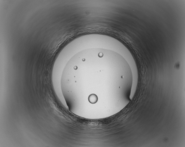 X0000116160546201001041116