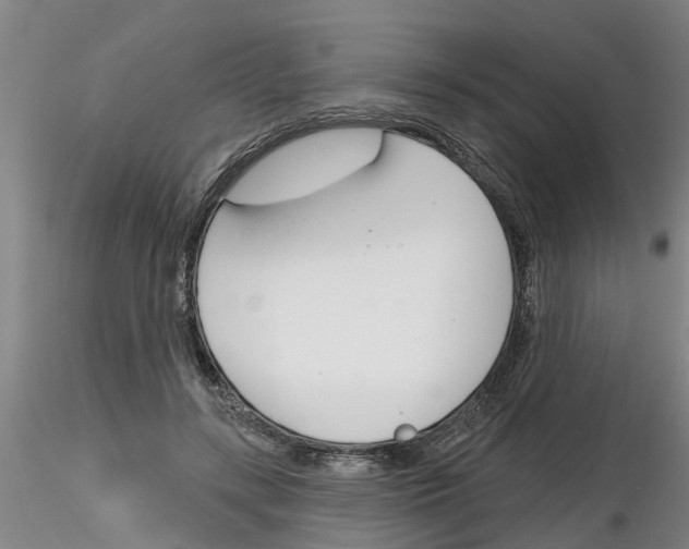 X0000116160547201001041116