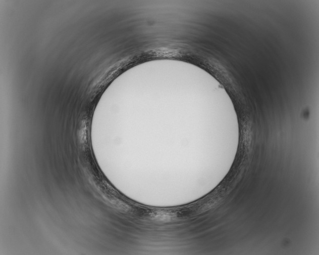 X0000116160549201001041116