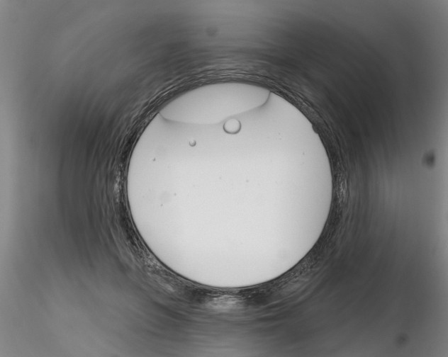 X0000116160551201001041116