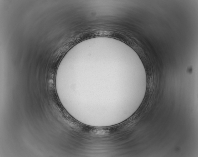 X0000116160553201001041116