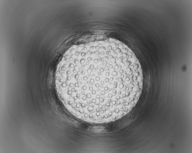 X0000116160554201001041116
