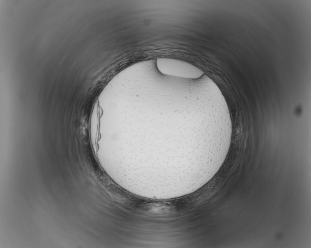 X0000116160555201001041116