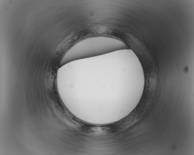 X0000116160558201001041116
