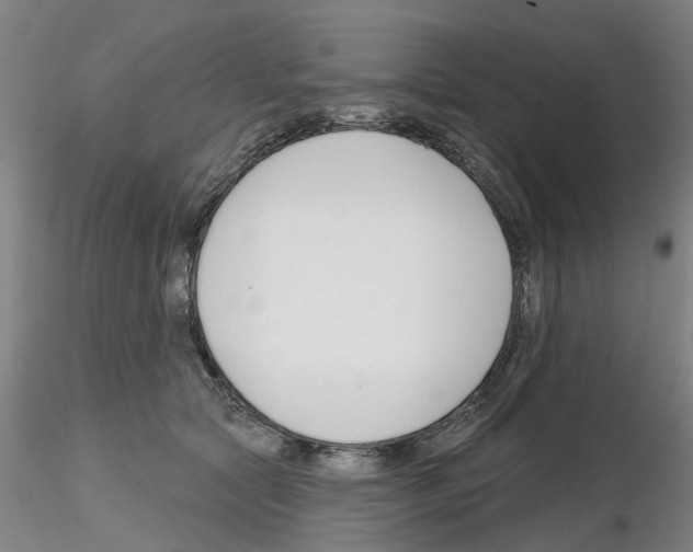 X0000116160561201001041116