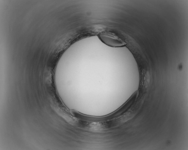 X0000116160562201001041116