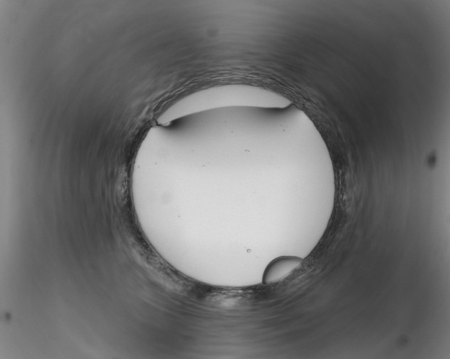 X0000116160563201001041116