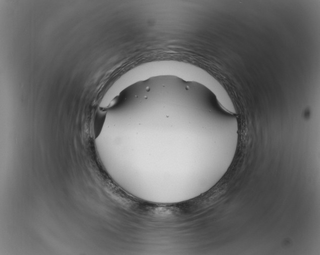 X0000116160566201001041117