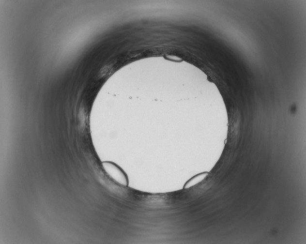 X0000116160574201001041117
