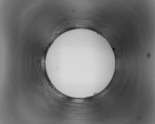 X0000116160575201001041117