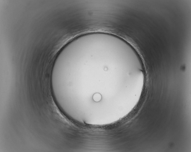 X0000116160577201001041116