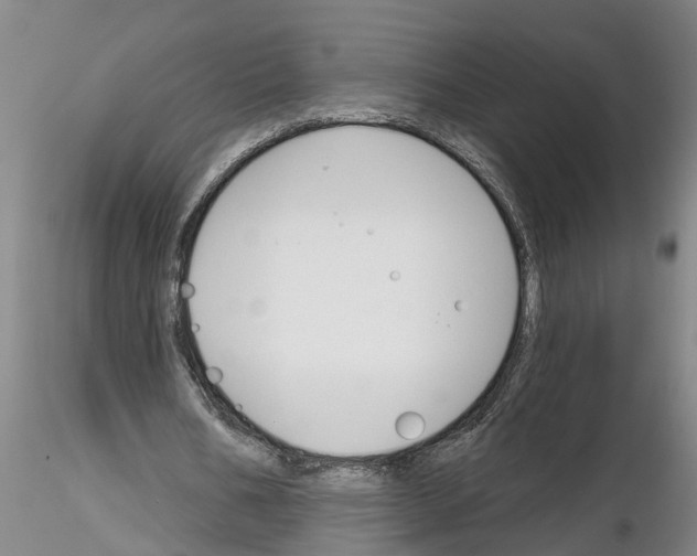 X0000116160578201001041116
