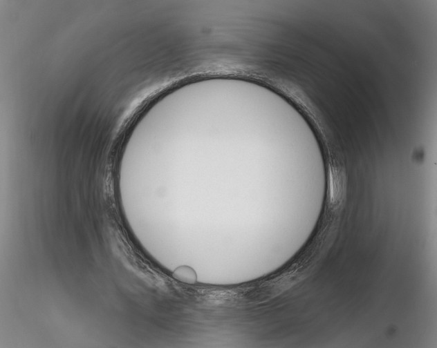 X0000116160579201001041116