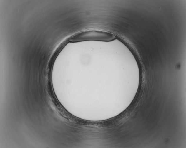 X0000116160580201001041116