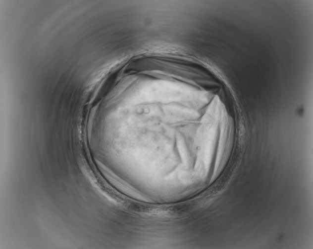 X0000116160581201001041116
