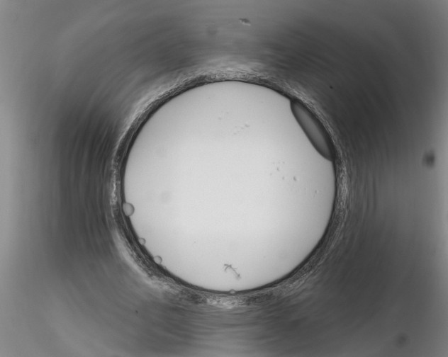 X0000116160582201001041116