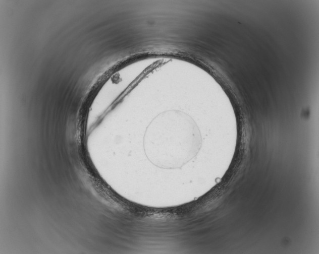 X0000116160584201001041116