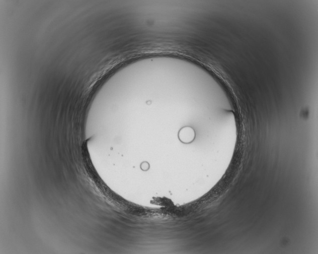 X0000116160585201001041116