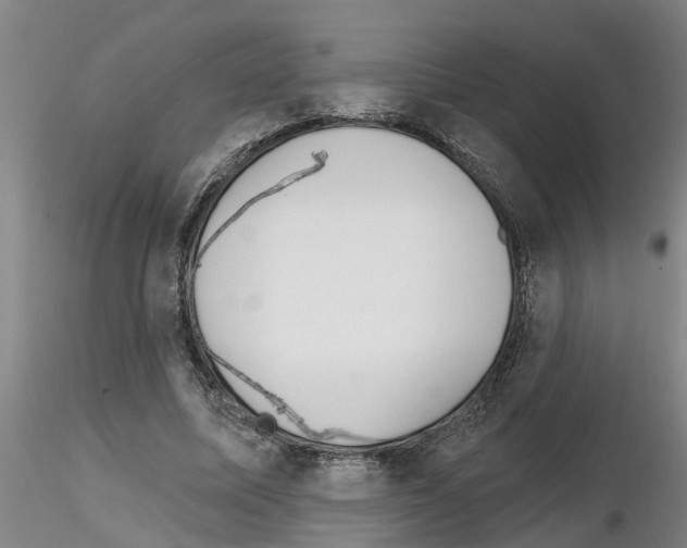 X0000116160587201001041116