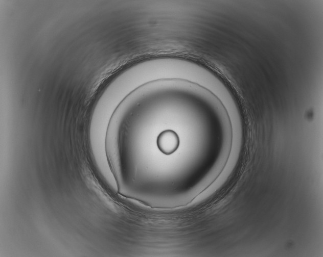 X0000116160589201001041116