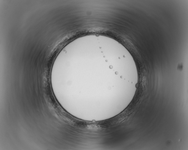 X0000116160591201001041116
