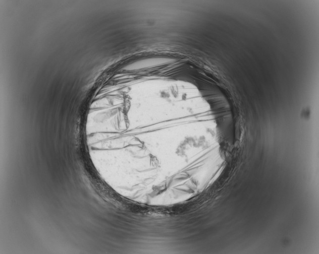 X0000116160592201001041116