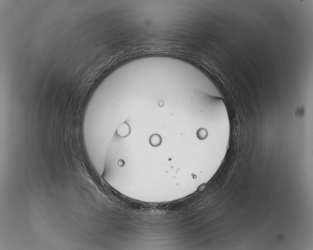 X0000116160593201001041116