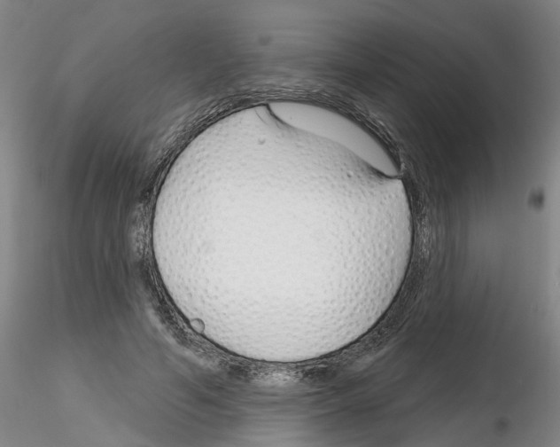 X0000116160594201001041116